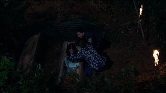 古墓惊魂在线观看,揭秘神秘古墓的惊险探险之旅